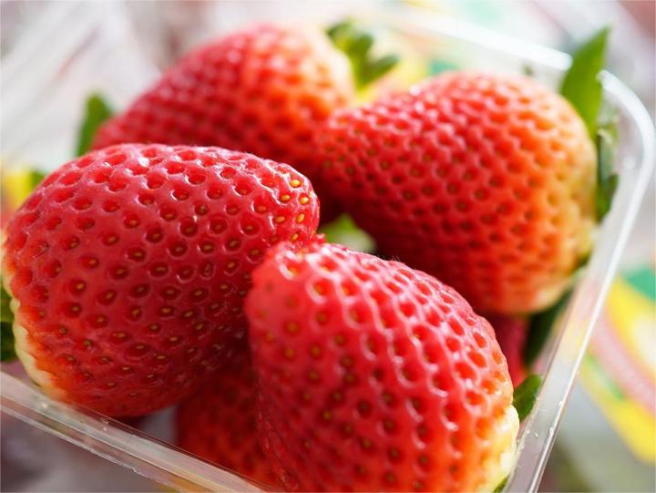 สตอเบอรี่-strawberry-นำเข้าจาก-usa-aus-korea-เกรดพรีเมี่ยม-premium-ราคา-1แพ็ค-250-กรัม