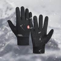 Winter Warm Cycling Gloves Wind Waterproof Breathable Nonslip Hiking Skiing Running Snowmobile Motorbike Gloves Men Black