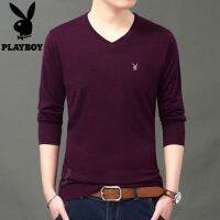 [playboy VIP] men fall thin section v-neck sweater knittingwith long sleevesleisure render unlined upper garment