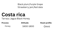 เมล็ดกาแฟคั่ว Costa rica Tarrazu Jagua Black Honey - Honey process - บรรจุ 100 กรัม - Sribrown