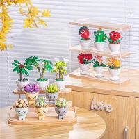 DIY Small Particles Puzzle Mini Flower Building Blocks Home Desktop Succulent Potted Ornaments Assembled Childrens Toy Gift