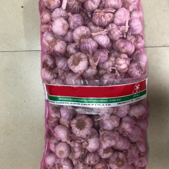 Bawang Putih Honan 1kg Premium Tidak Ada Yang Busuk Lazada Indonesia