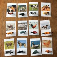 Montessori Baby Poultry Animal Cognitive Pair Cards Puzzle Toddlers English Learning Educational Flash Card Toys Brinquedos Gift Flash Cards