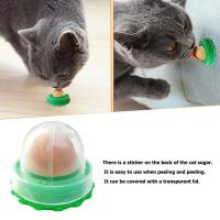 【SALE】 combauspital1988 แมวแมวลูกกวาดเลียสำหรับลูกแมวเพิ่มการดื่มลูกบอลพลังงานขนมขบเคี้ยว