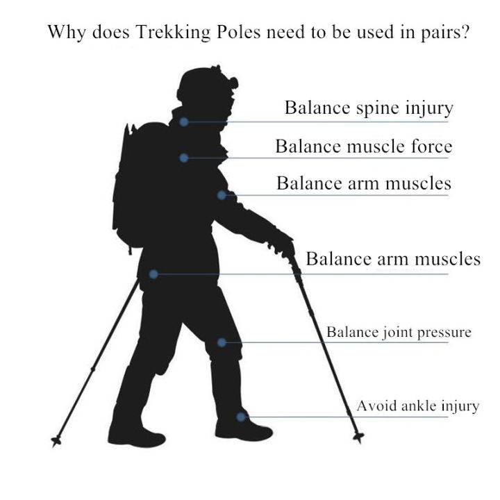 2pcs-ncs-10-trekking-poles-ultralight-adjustable-non-slip-nordic-walking-sticks-adult-hiking-canes-telescopic-alpenstocks