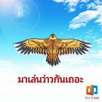 Time Zones ว่าว นกอินทรีย์ ว่าวไล่นก ว่าวไล่ ศัตรูพืชว่าวเด็ก อุปกรณ์ว่าว kite