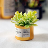 กระถางต้นไม้จำลองสำหรับ Miniatur Pot บ้านตุ๊กตา,กระถางต้นไม้สีเขียวขนาดเล็กสำหรับเด็กอายุ1:12ปี