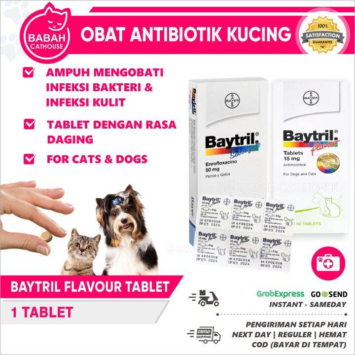 BAYTRIL FLAFOUR Obat Antibiotik Untuk Hewan Kucing dan Anjing Tablet