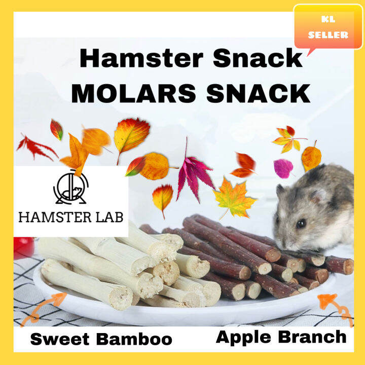 Apple Branch Chew Sticks Bamboo for Hamsters Guinea Pigs Chinchilla