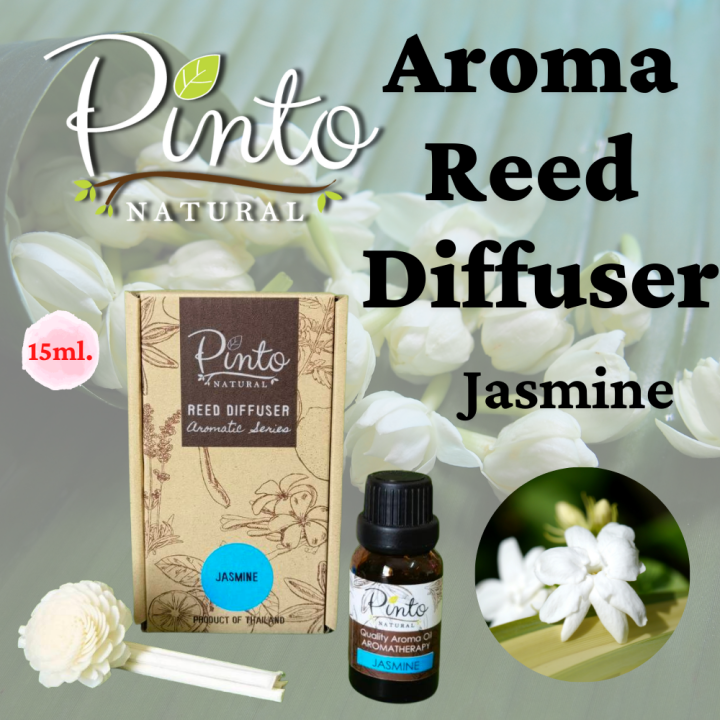 ใหม่-pinto-natural-ก้านไม้หอมปรับอากาศ-15ml-ไซส์มินิ-น้ำหอมปรับอากาศ-aroma-reed-diffuser-15ml