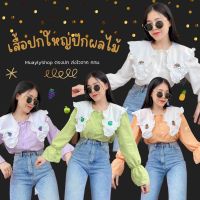 ?ใหม่ ? เสื้อแขนยาว ปกใหญ่ ปักผลไม้ ??? ผ้าย่น 4 สี แขนยาวระบาย