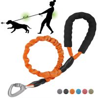 Dog Leash Reflective Elastic Nylon Rope With Padded Handle Safety Walking Harness Collar Leader Rope For Small Medium Large Dogs