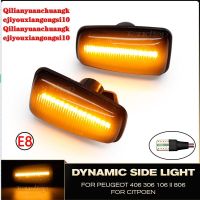 ไฟ LED ด้านข้างสัญญาญไฟเลี้ยวกระพริบแบบไดนามิกสำหรับ Citroen Berlingo Jumpy Saxo Xantia ZX Peugeot 106 36 406 806หุ้นส่วนเชี่ยวชาญ (10)