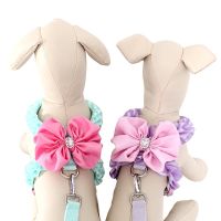 Pet Dog Harness Leash 2 Sets Sweet Bow Teddy Collar Dog Cat Walking Rope Chain For Small Medium Pet Harness Suit Leash Set