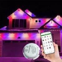 permanent christmas light 2904 landscape point pixel led light rgb outdoor holiday decoration dmx512 24v rgbw dot led