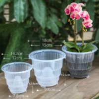 Hydroponic colonization Mesh Pot Net Cup Basket Hydroponic Aeroponic Planting GrowTransparent Breathable Container Plant