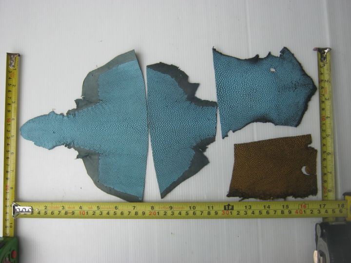 เศษหนังปลากระเบนแท้-stingray-leather-scraps-หลายสี-น้ำหนัก-81-กรัม-sk678