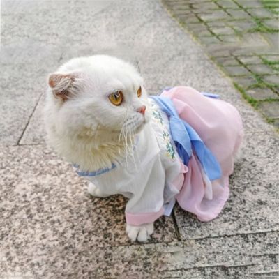Style 2023 Summer Breathable Dog Princess Dress Embroidery Cat Antique Dress Cat Clothes Puppy Thin Skirt Pet Hanfu Dresses