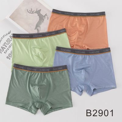 4Pcs Model Teenagers Underwears  Antibacteria Crotch 10-18yrs Young Boys Underpants Brethable Fat Boy Flat Briefs