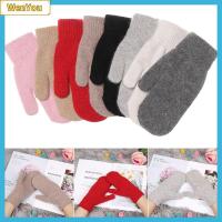 WENYOU Fashion Warm Pure Color Female Gloves Winter Gloves Double Layer Rabbit Fur Mittens