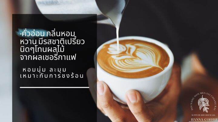 กาแฟดริปแบบซอง-คั่วกลางเข้ม-พร้อมชง-10-ซอง-arabica-100-เกรด-a-peaberry-ดอยนางนอน-เชียงราย-hanna-coffee