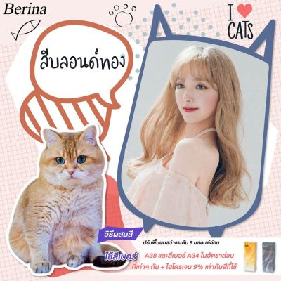 Set Berina เบอริน่า เซตสีผม สี บลอนด์ทอง ( A38 / A34 )