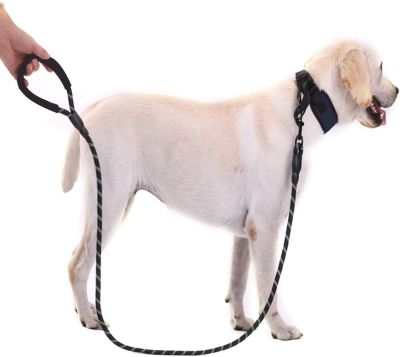 ◘ สายจูงสุนัขขายส่งไนลอนสะท้อนแสงป้องกันการระเบิด Oki Dog Leash อุปกรณ์สำหรับสัตว์เลี้ยง Dog Leash ขายส่ง Amazon Pet Leash