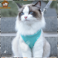 ?pet lovely pet?สายจูง สายจูงแมว สายจูงสัตว์เลี้ยง ปลอกคอแมว เชือกจูงแมว มี 3 สี Cat harness ?