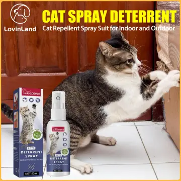 Best pet deterrent outlet spray