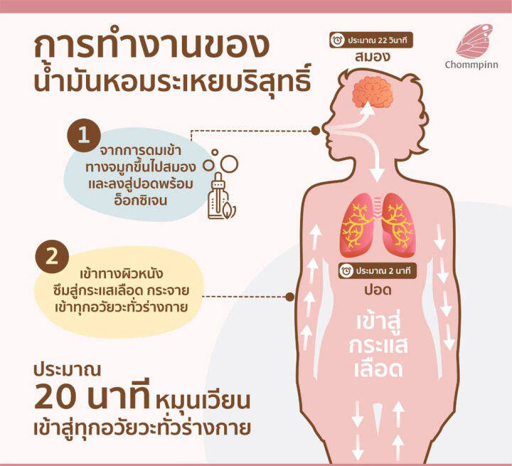 chommpinn-สร้างเสริมสมาธิและเสริมสร้างระบบความจำ-focus-essential-oil-blend-10ml