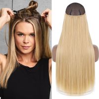 Synthetic Hair Extensions Long Straight No Clips Ombre Blonde Brown Black Natural Wavy Fish Line False Hair Piece For Women Wig  Hair Extensions  Pads