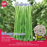 เมล็ดพันธุ์ ถั่วฝักยาวเมล็ดขาวสีพันดอน บรรจุ 5 กรัม [โปรโมชั่น ซื้อ10แถม1 คละได้]