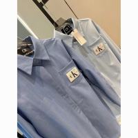 2023 Early Autumn New Thin Shirt Blue Shirt Female