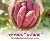 มันญี่ปุ่นแท้ เบนิฮารุกะ ชิโทริ2.5กิโล หวานอร่อย