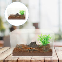 Zecetim Acrylic สัตว์เลื้อยคลาน Acrylic Terrarium Acrylic สัตว์เลื้อยคลานกล่องสายพันธุ์ Clear Terrarium Cage Tank สำหรับสัตว์เลื้อยคลานขนาดเล็ก