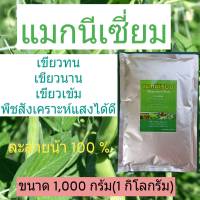 แมกนีเซี่ยม แมกนีเซี่ยมซัลเฟต Magnesium Sulphate สังเคราะห์แสง ใบเขียว กำมะถัน สำหรับพืช ขนาด 1 กิโลกรัม ละลายน้ำ 100 % ถุงฟลอยกันชื้นอย่างดี