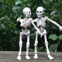 【CC】 1Pc Simulated Figure Human Skeleton Movable Mr. Figure