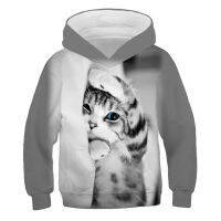 Autumn Brand Children Cartoon Boys Girls 3D Cat Sweatshirt Kids Long Sleeve Hoodies Casual Baby Tops Clothing