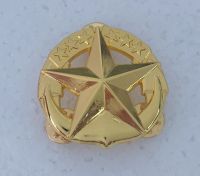 tomwang2012.U.S. NAVY BADGE PIN : COMMAND AT SEA - REGULATION SIZE