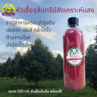 หัวเชื้อจุลินทรีย์สังเคราะห์แสง PSB 500 ml. หัวเชื้อเข้มข้น ขยายต่อได้พร้อมสูตร ธาตุอาหารครบบำรุงดิน เร่งแตกราก