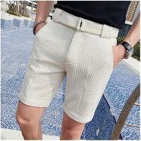 HOLUCE Summer Solid Shorts Men Casual Business Social Elastic Waist Men Shorts Beach Shorts (Color : D, Size : 34)