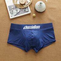 Mens Boxer Briefs Ice Silk Nylon Fabric Comfortable Breathable Quick-Drying U-Convex Three-Dimensional Antibacterial Fashion Simple Function Style AUSSIEBUM