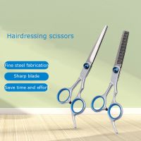 Hairdressing Scissors 6 Inch Hair Scissors Professional Hairdressing Scissors Cutting Thinning Scissors Barber Shear Accessories