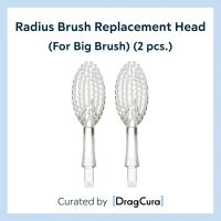 หัวแปรงสีฟัน Radius Brush Replacement Head (For Big Brush) (2 pcs.)