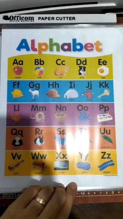 Laminated Educational Chart for Kids | Lazada PH