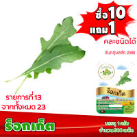 (ซื้อ10แถม1 ฟรีคู่มือ) เมล็ดพันธุ์ ร็อกเก็ต ROCKET (1 กรัม 500 เมล็ด) ทำมะชาดฟาร์ม  ผักสลัด เมล็ดพันธุ์สลัด เมล็ดสลัด เม็ดผักสลัด