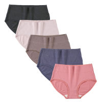 Hot Cotton Panties Women 5Pcs Pure Color High-Rise Stripe Silk Briefs Comfortable Breathable y Lingeries Large Size xxxl 4xl