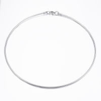 1pc 304 Stainless Steel Snake Chain Necklaces with Lobster Clasps Stainless Steel Color 17.72 inch(45cm) 2mm