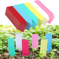 【hot】☞  Pcs Garden Succulent Labels Plastic Tray Markers Decoration Tools Gardening Accessories