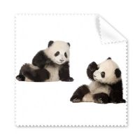 Playing Partner Panda Accompanied Cleaning Cloth Phone Screen Glasses Cleaner 5pcs Lens Cleaners